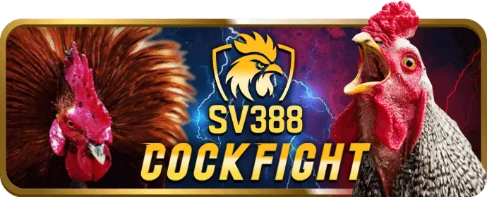 Hình ảnh tổng hợp các môn thể thao như bóng đá, bóng rổ, tennis, esports